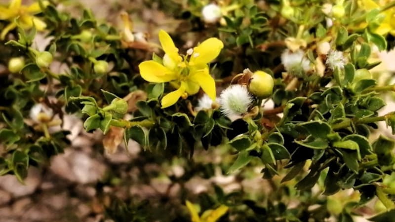 <div class="migrated-promo-image__description"><div class="migrated-promo-image__source">Fuente: Archivo</div></div>