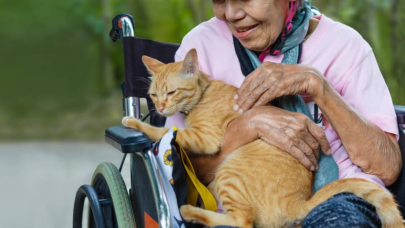 <div class="migrated-promo-image__description"><div class="migrated-promo-image__source">Fuente: Shutterstock</div></div>