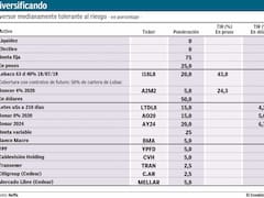 Un portafolio apoyado en dólares