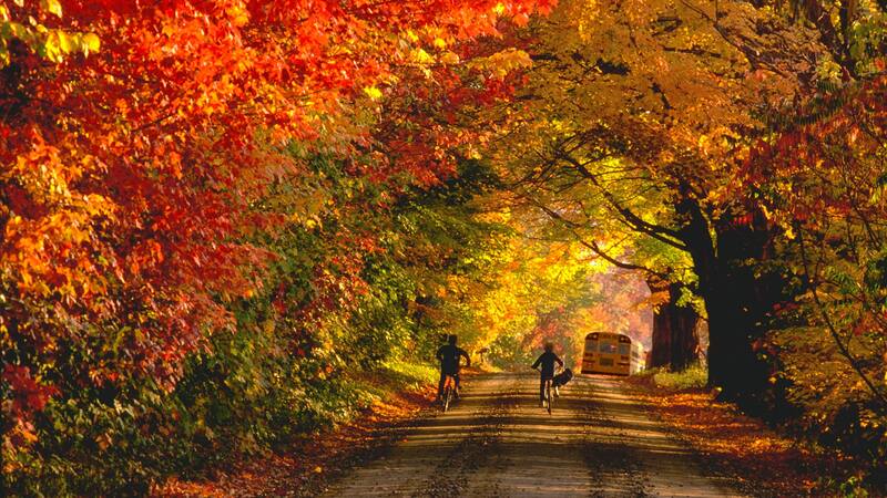 <div class="migrated-promo-image__description"><div class="migrated-promo-image__source">Fuente: Shutterstock</div></div>