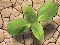 Para dos de cada tres personas es sencillo reciclar