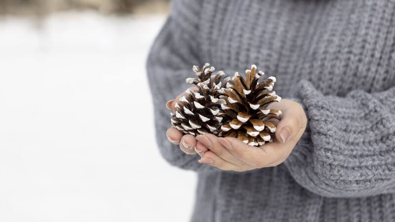 Durante esta fecha es ideal organizar las compras con antelación y tener en cuenta las condiciones climáticas.