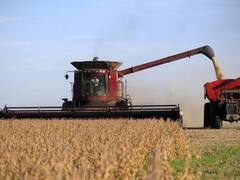 Más control a exportadores de granos: deberán liquidar en forma automática los tributos de sus operaciones