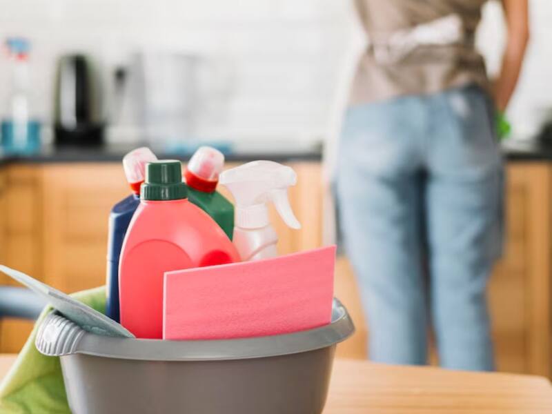 Empleadas domésticas en mayo 2025.