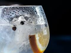 El alma del Gin Tonic celebra su día