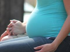 Buena noticia de ANSES: extienden un plazo clave para el acceder a este beneficio