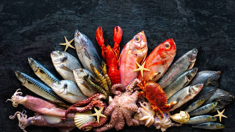 Se puede determinar si una pescadería es buena se deben tener en cuenta algunos aspectos (Fuente: Shutterstock)