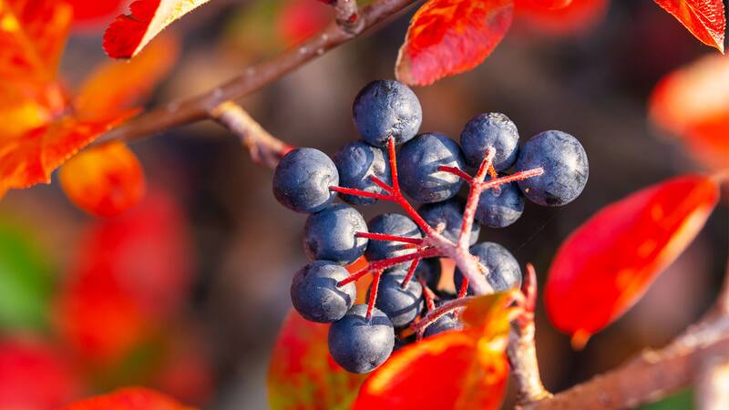 <div class="migrated-promo-image__description"><div class="migrated-promo-image__source">Fuente: ShutterStock</div></div>