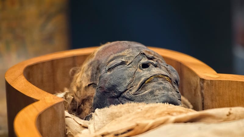 Este hallazgo podría cambiar la historia de la humanidad.