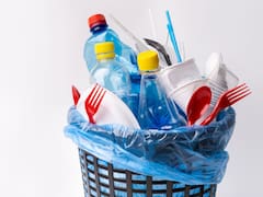 Adiós plásticos de un sólo uso: habrá multas de hasta 300,000 pesos para quienes los distribuyen