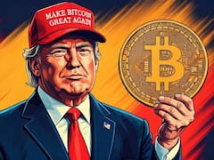Cómo el plan de EE.UU puede redefinir la criptoeconomía global y los desafíos a los que se enfrenta Trump