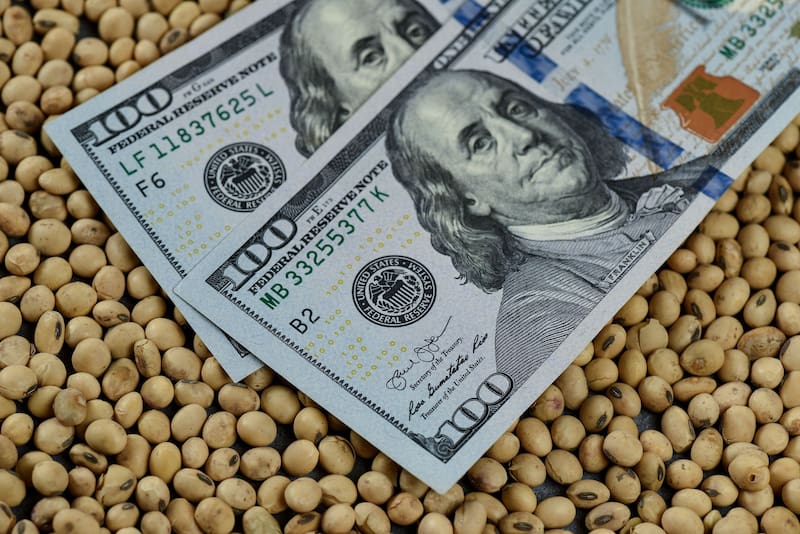 Con un porcentaje de la recaudación del dólar soja se pagará un nuevo ingreso antes de finalizar el 2022.