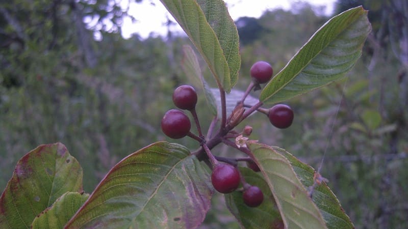 <div class="migrated-promo-image__description"><div class="migrated-promo-image__source">Fuente: Archivo</div></div>