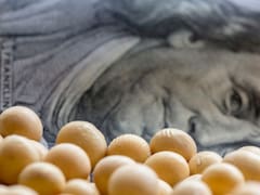 Productores de soja podrán comprar MEP con sus pesos "dólar linked"