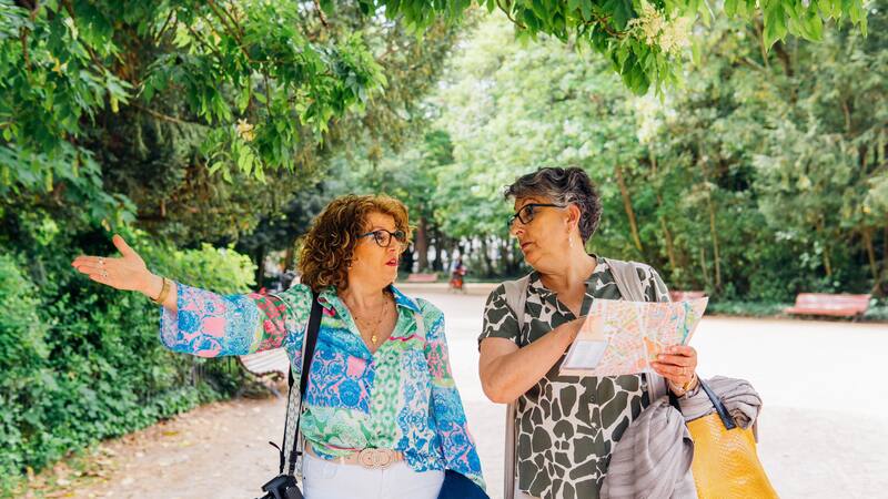 Excelente noticia de RENFE para los mayores de 65: podrán disfrutar una escapada única y navideña por menos de 8 euros.