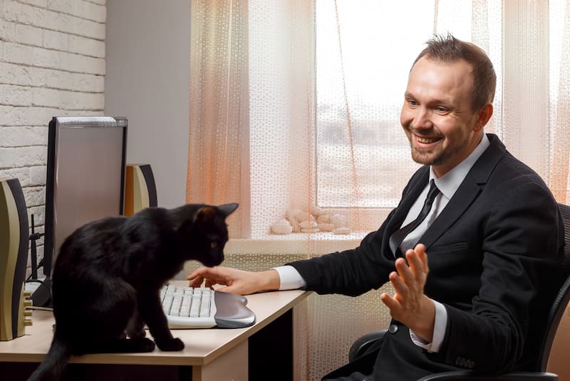 Hablar con los gatos y decirles te amo. Fuente: Shutterstock.