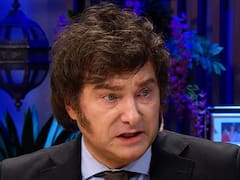 Cómo evolucionó la imagen de Milei en el Conurbano: las dos intendencias clave para el peronismo