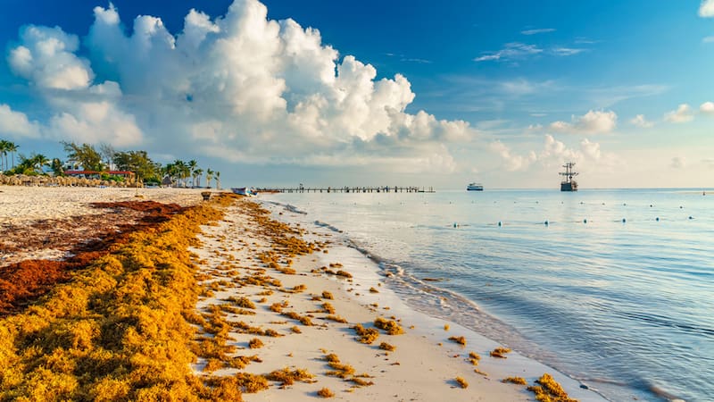 <div class="migrated-promo-image__description"><div class="migrated-promo-image__source">Fuente: Archivo</div></div>