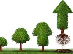 Colapso de tasa a 10 años en EE.UU. reactiva bonos argentinos: ¿Brasil en la mira?