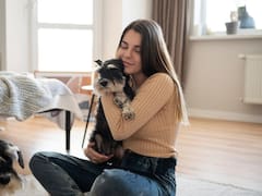 Dueños de mascotas podrán ahorrar hasta 100 euros en el IRPF: cuándo entra en vigor