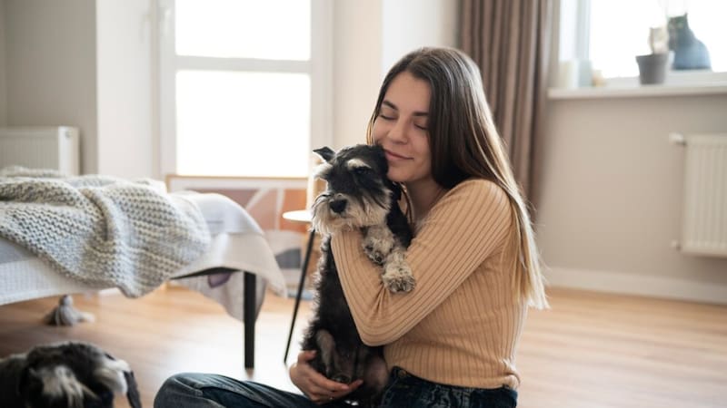 Propietarios de mascotas en Andalucía se beneficiarán de la nueva deducción fiscal del 30% en gastos veterinarios, con un tope máximo de 100 euros.