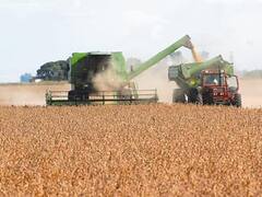 Después de fuertes subas, se afloja el precio de la soja en Chicago