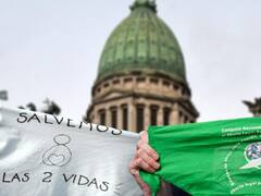 Aborto legal: el Gobierno se desligó del proyecto de una diputada libertaria para derogarlo