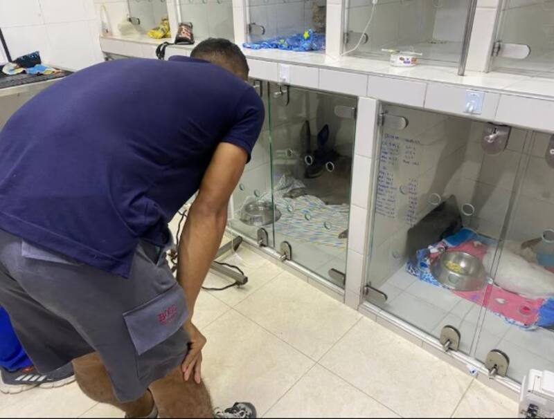 El pastor belga malinois fue entrenado para detectar explosivos en zonas de alto riesgo. (Fuente: Ejército Nacional de Colombia)