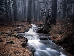 Escapadas: las cabañas que están a una hora de Madrid y donde puedes disfrutar con tu mascota, jacuzzi y vistas increíbles
