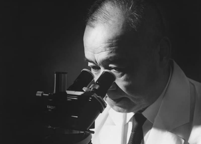 El Dr. Minoru Shirota logró aislar un cultivar una bacteria que podía mejorar la salud intestinal.