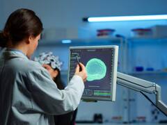 Histórico: científicos argentinos encontraron un vínculo entre el Alzheimer y la osteoporosis que cambiaría el tratamiento de cada enfermedad