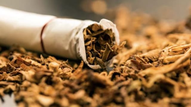 Cierre sorpresivo de tabacalera deja a 40 personas sin trabajo