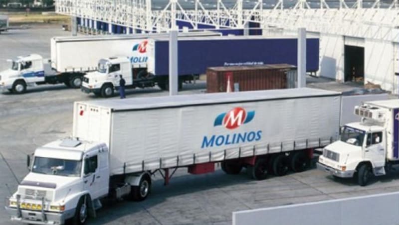 Para Molinos, comprar Grupo Ayudín le permitiría ingresar en una categoría nueva que puede potenciar con la red de distribución que ya tiene montada