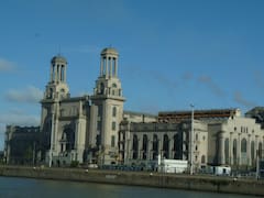 Central Puerto apuesta a construir un mega aserradero en Corrientes