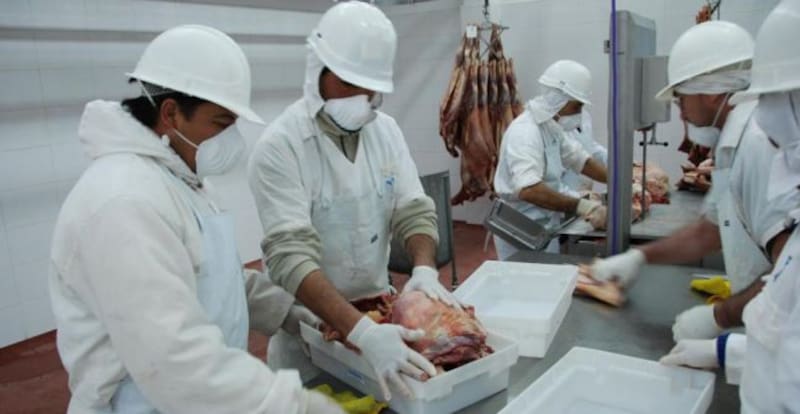 En enero-julio de 2022 se exportaron 357.400 toneladas de carne vacuna, 6,6% más que en los primeros siete meses de 2021.