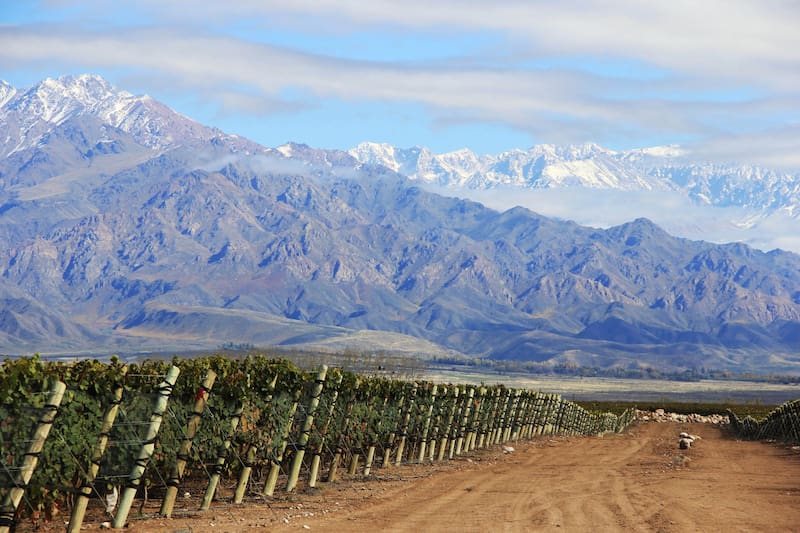La finca Piedra Infinita está ubicada en el Paraje Altamira en Valle de Uco.