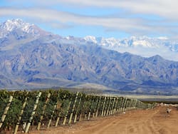 Inversiones, vino y turismo: tres proyectos de argentinos que ganan terreno en el Valle de Uco