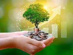 Mercado mexicano de bonos ambientales sufre su primera gran caída en 10 años por dudas sobre su impacto real