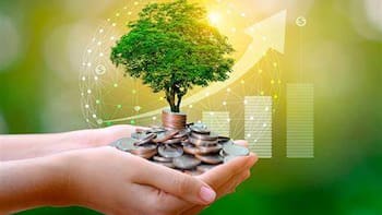 Mercado mexicano de bonos ambientales sufre su primera gran caída en 10 años por dudas sobre su impacto real