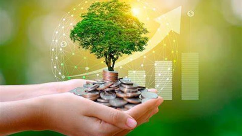 Para financiar la transición sustentable existen varias opciones desde ecopréstamos hasta bonos verdes.