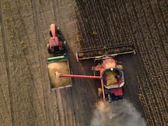 La liquidación de febrero cayó 30%: la apuesta del mercado con los dólares del campo