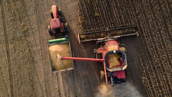 La liquidación de febrero cayó 30%: cuál es la apuesta del mercado sobre los dólares del campo