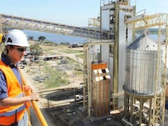 El espejismo de un sector “estrella”: pintaba para récord, pero aportará menos divisas y la mesa vacía