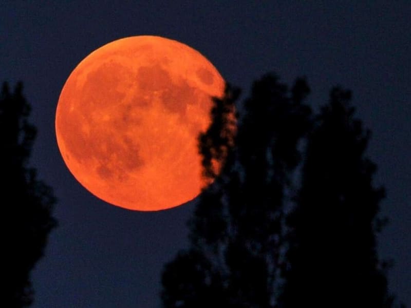 Luna de Sangre de agosto: a qué hora se verá en Argentina.