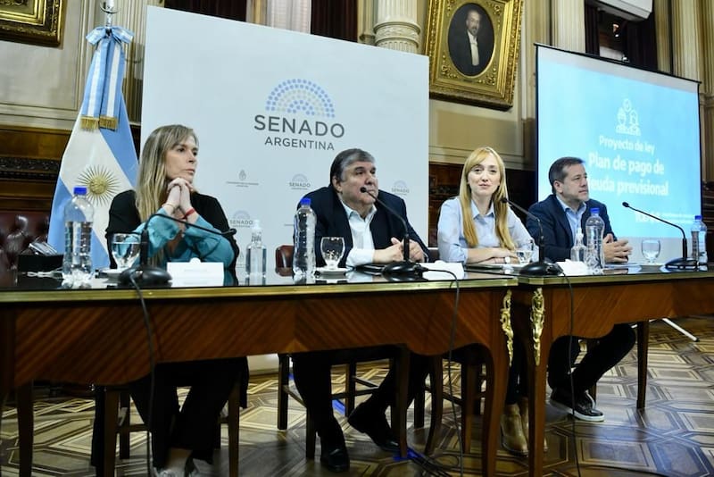 El proyecto fue impulsado por los camporistas Anabel Fernández Sagasti y Mariano Recalde.