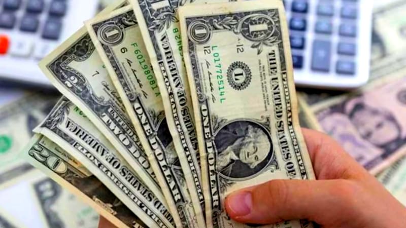 Adiós al dólar en España: por qué nunca se aceptan para hacer pagos. (Imagen: archivo)