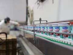 Tregar analiza comprar activos de la fabricante de yogures y postres SanCor, Yogs y Shimy