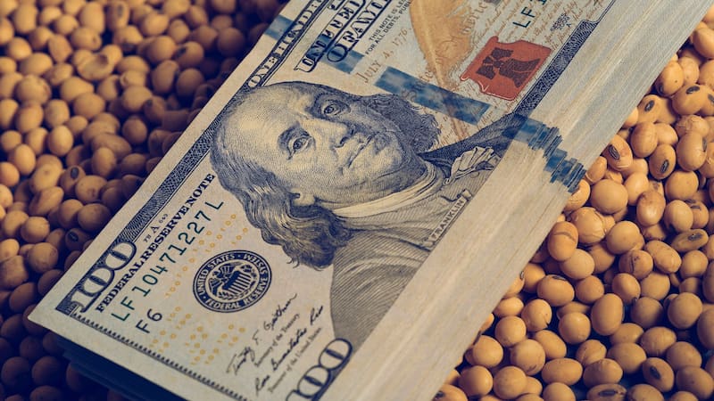 El Gobierno sostiene que el agro se mantiene como una de las principales "fuentes de empleo, divisas y desarrollo".