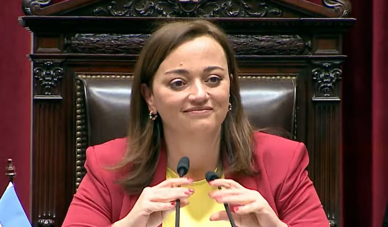 Cecilia Moreau también sumó sus críticas.