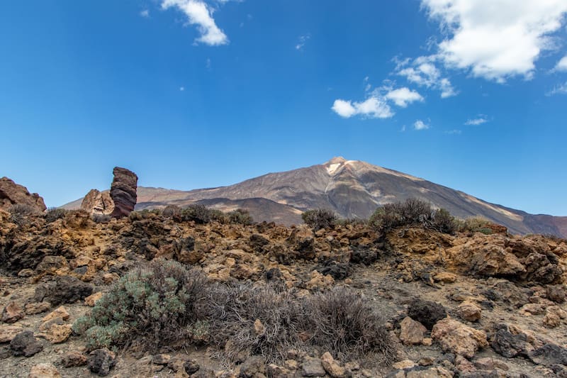Más de cinco décadas después, el control de los muflones continúa siendo un desafío para la conservación del ecosistema del Teide.
